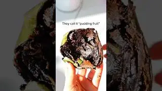This Fruit Taste Like Chocolate Pudding! 🍫🥭 #sapote #dessert