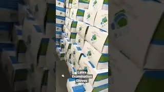 latex Examination Gloves