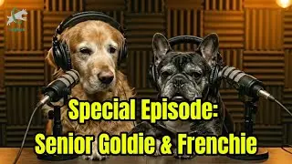 A Message From Your Dogs, When They&rsquo;re Old