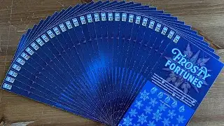 FULL BOOK of SC Scratch-offs!🌟$300 Gamble🌟 Did We Find a Frosty Fortune?❄️
