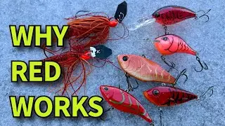 Why Red Lures Are DEADLY for Spring Bass