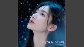 No More Beautiful Days