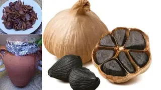 الثوم الاسود ثروة غذائية وعلاجية لامثيل لها هكذا يمكنك تحضيره بالبيت