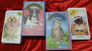 #deckcomparison Dog Tarot VS Cat Tarot