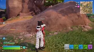 Fortnite_20260117095921