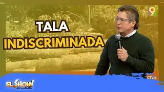 Tala indiscriminada de Árboles en Salcedo | ESM