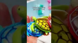 🛁 Robo Alive идеально подходит для купания! #Шорты