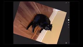 Apple World Today Video Tip: Correcting iPhone and iPad Photo Orientation