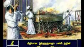 Leviticus - 5  Tamil Picture Bible