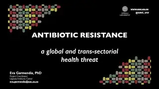 R&aring;dslag 2019 - Antibiotic Resistance