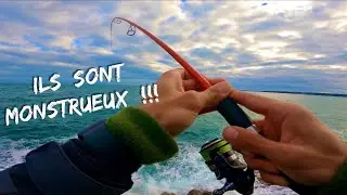 C&rsquo;est lourd, tr&egrave;s lourd  ( Je p&ecirc;che des monstres alors que je n&rsquo;&eacute;tais pas venu pour &ccedil;a )