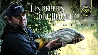 Les Pépites de l'Hérault - Pêche au feeder en rivière avec Charles Hily - Matrix Fishing TV France