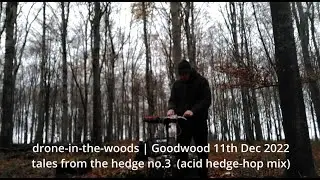 Tales From the Hedge No.3  - acid hedge-hop in the forest with no snow! Synths outside:  MC101 TD3