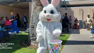 i found the easter bunny running ar97nd town hiding easter eggs florida and harvard