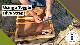 Using a toggle beehive strap