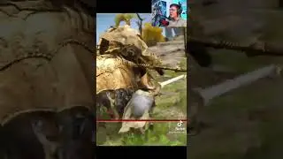 Quick Tips: BEAT TREE SENTINEL