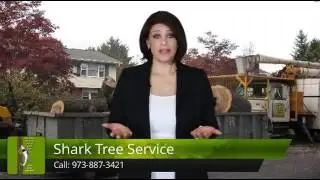 Tree Service Landing NJ