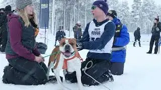 SM veckan 2024 Draghund Lina och prolog Sp4MS