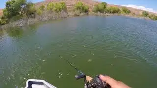 8ft Sun dolphin fishing