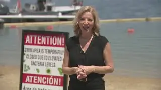 Aurora Reservoir Swim Area closed due to elevated bacteria levels