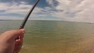 Spitskop dam carp angling November 2021