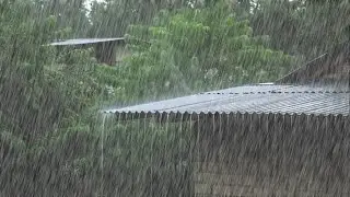 Heavy Rain on the Roof | Sleep Well Tonight asmr