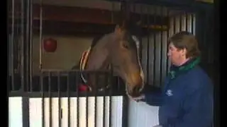 Live & Kicking | Nick Skelton's Showjumping Tips | 12/03/1994