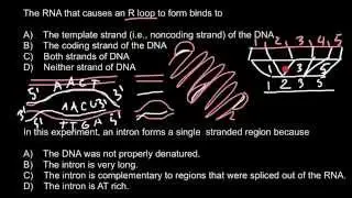 What is R-loop and what causes R-loop formation?