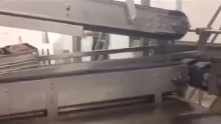 Continuous Depanner with Delidder