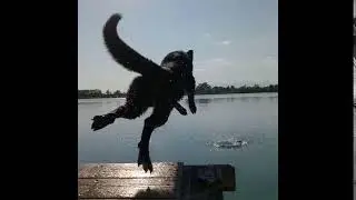 Loki salta nel blu!!!