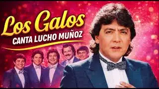 Los Galos  Necesito de t&iacute;   La magia termin&oacute;   Sue&ntilde;os del ayer