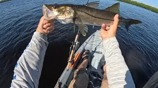 AMAZING DAY OF FISHING! Peace River INSHORE SLAM on the MirroDine!