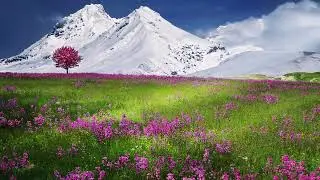 Cosmic Relaxation | Royalty Free Music