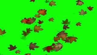 Green Screen Autumn Leaves Effect
