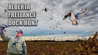 Бесконечные стаи крякв + моя ПЕРВАЯ охота на уток за 15 лет!