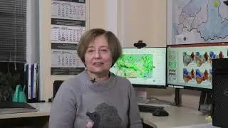 Прогноз погоды на 28 -30 января 2026 г.