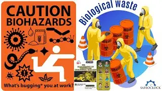 Management Of Workplace Biological Hazards