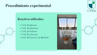 Presentaci&oacute;n Test de Barfoed