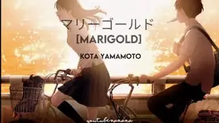 マリーゴールド MARIGOLD COVER BY KOTA YAMAMOTO