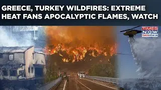 Greece, Turkey Wildfires Dramatic Videos: Watch Apocalyptic Flames Rage Amid Mediterranean Heatwave