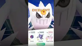 Shiny Mega Gengar Family vs Leader CLIFF in Pokemon GO.