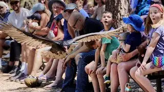 High Desert Museum joins elite group of zoos, aquariums with gold-standard accreditation