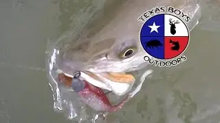 Texas Boys Outdoors - Baffin Bay Beauties & Life on a Shrimp Boat
