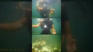 underwater Experience 🤿🤿 Malvan Trip #shorts #underwater #scubadiving #reel #viralshorts