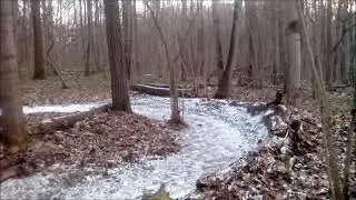 Ноябрь 2019. Первый снег и мороз.