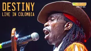 Brushy One String | Destiny (Live in Colombia)