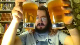 Beer Tasting 8 - Brewdog Punk IPA - temperature comparison