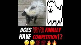 TOBY FOX'S 