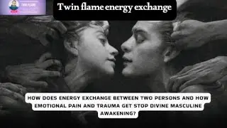 Twin Flame Energy Exchange #twinflame #spiritualexperience #energyreading #limbicsystem