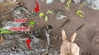 HOW TO CATCH SNAKEHEAD FISH - how to fishing snakehead fish